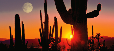 Arizona, USA