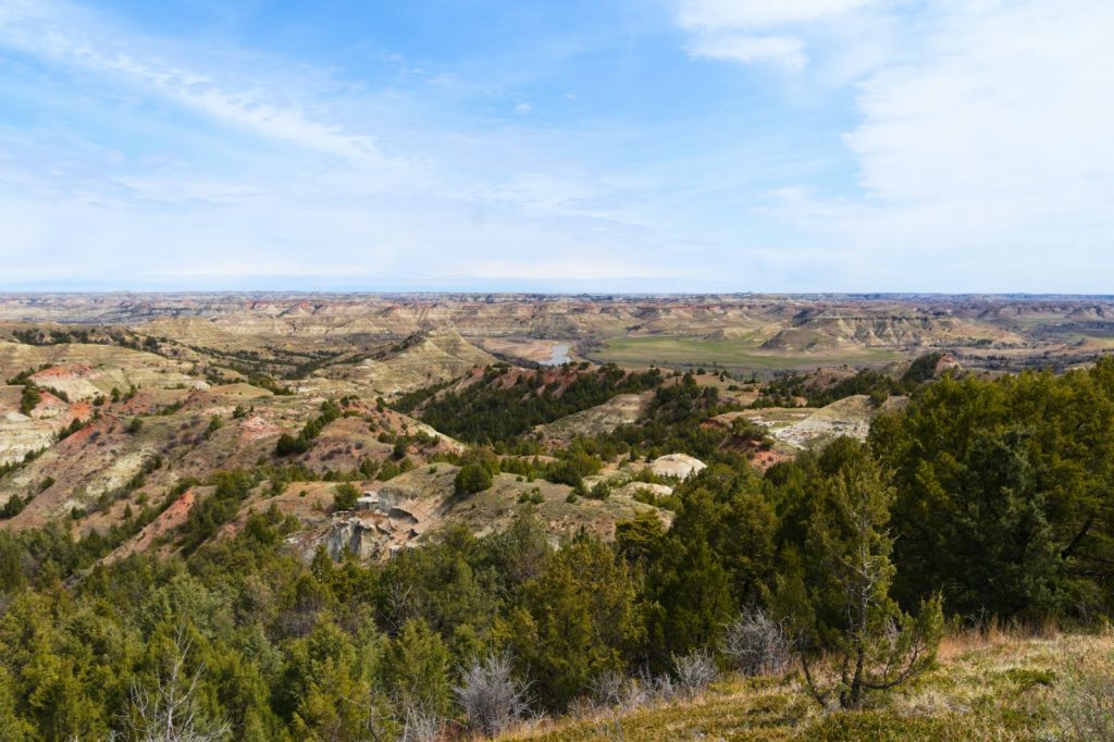 Medora