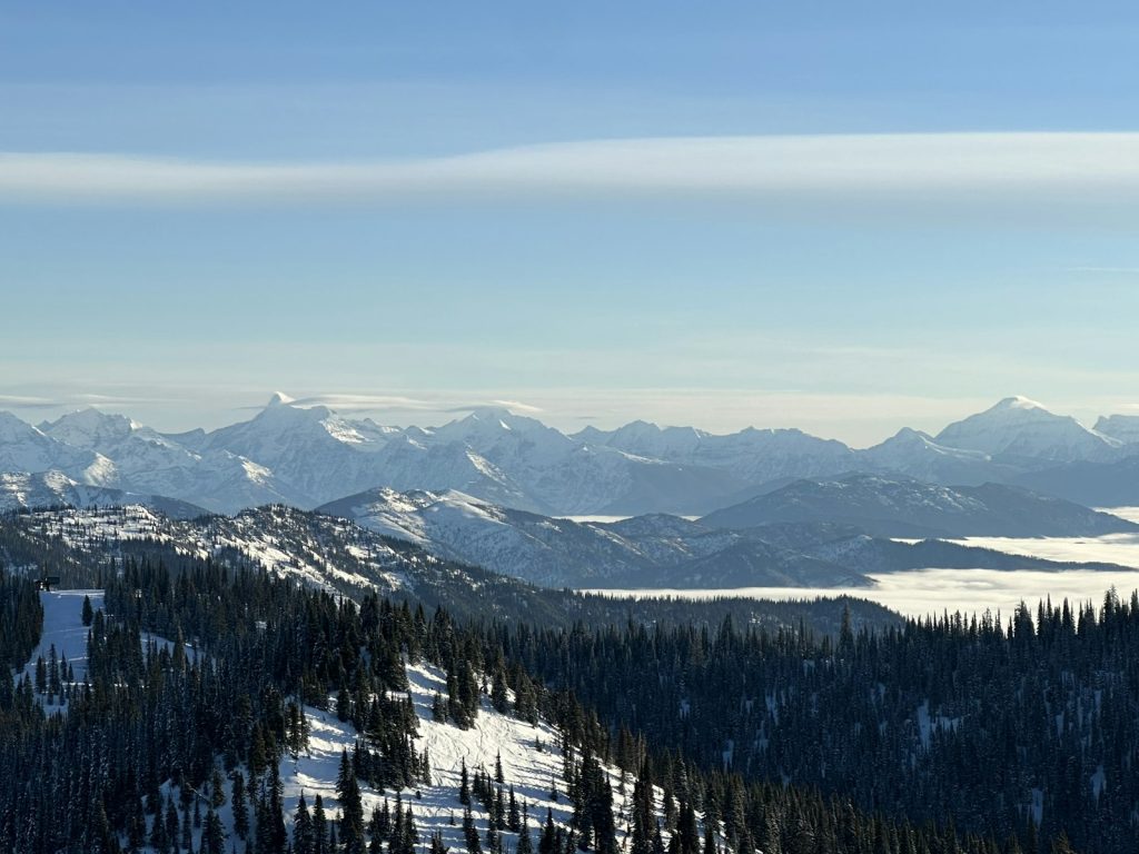 Whitefish